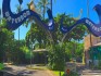 Discovery Kartika Plaza Hotel Bali Indonesia