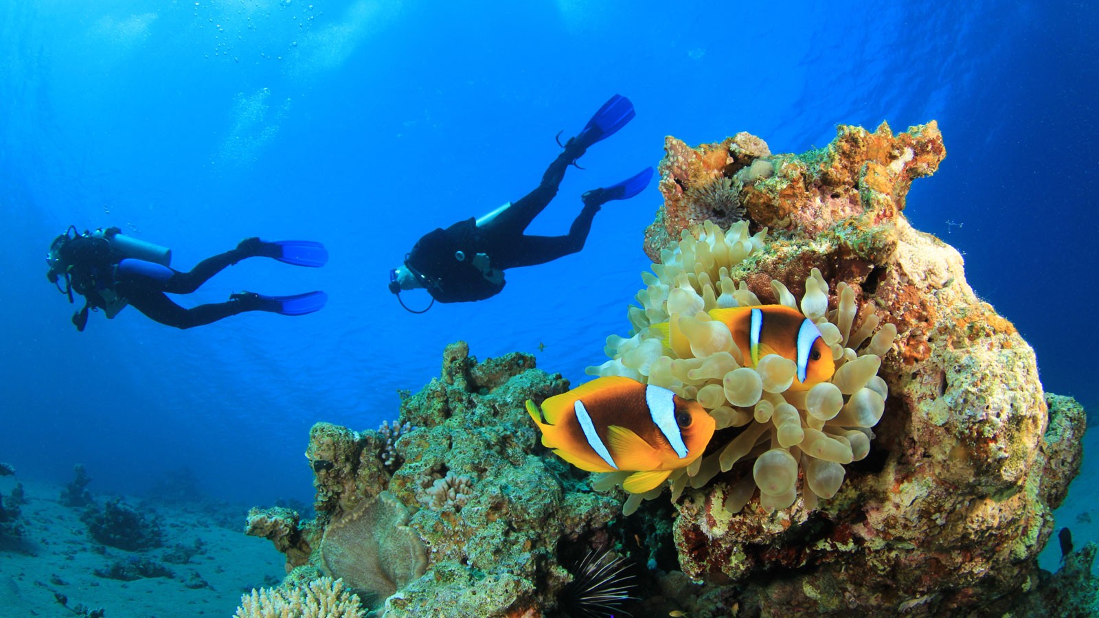 فندق اماري بوكيت تايلاند Amari Phuket 
