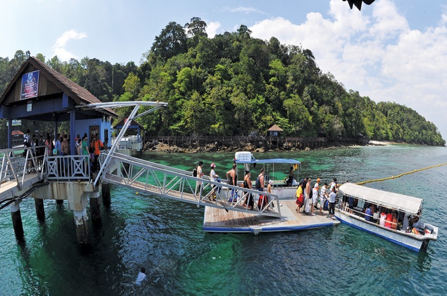 Mangrove Trip Malaysia | 12 Days 