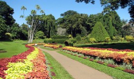 Penang Botanical Garden