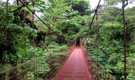 Taman Negara Borneo Sabah Malaysia