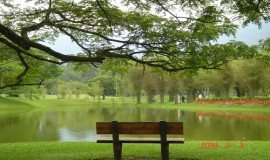 بحيرة بردانا النباتية كوالالمبور ماليزيا