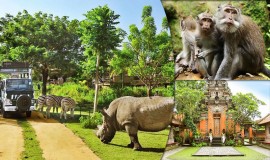 Bali Safari and Marine Park Indonesia