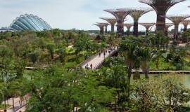 Tropical Gardens Singapore
