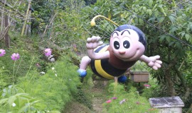 Honey Bee Farm Cameron Highland Malaysia