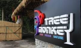 Tree Monkey Restaurant Penang Malaysia