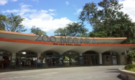 Zoo Negara Kuala Lumpur Malaysia 